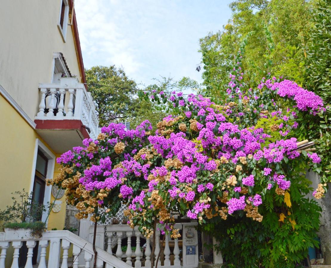Vivoda Apartment